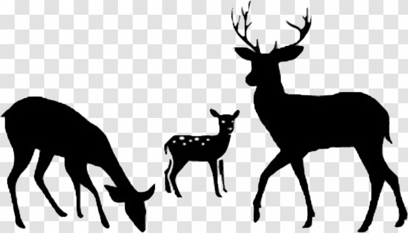 Deer Clip Art Silhouette Vector Graphics - Stencil Transparent PNG