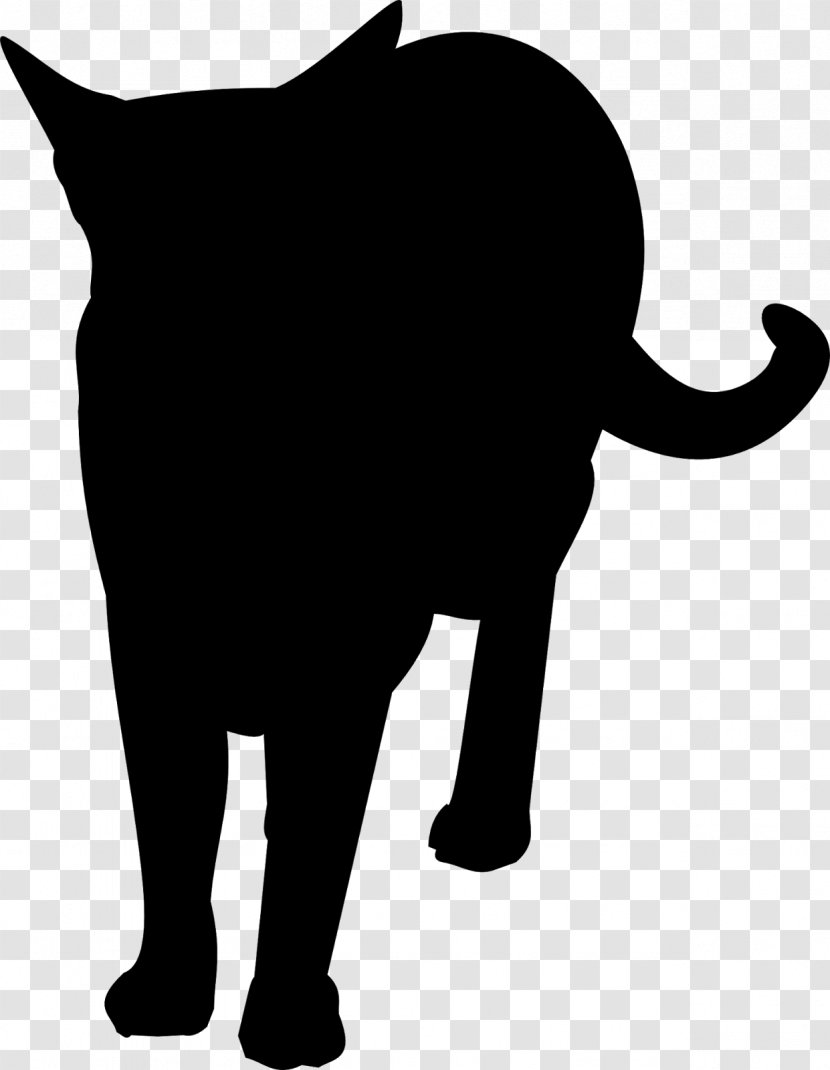 Cat African Elephant Whiskers Mammal - Elephants And Mammoths Transparent PNG