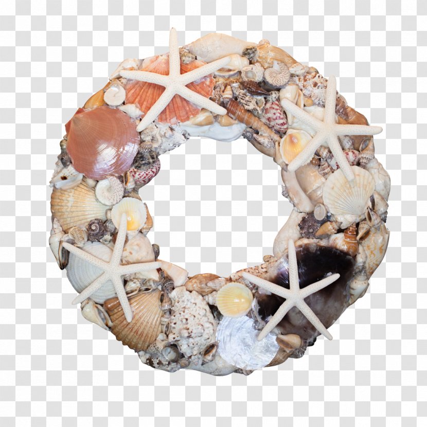Seashell Wreath Clam Starfish Christmas Transparent PNG
