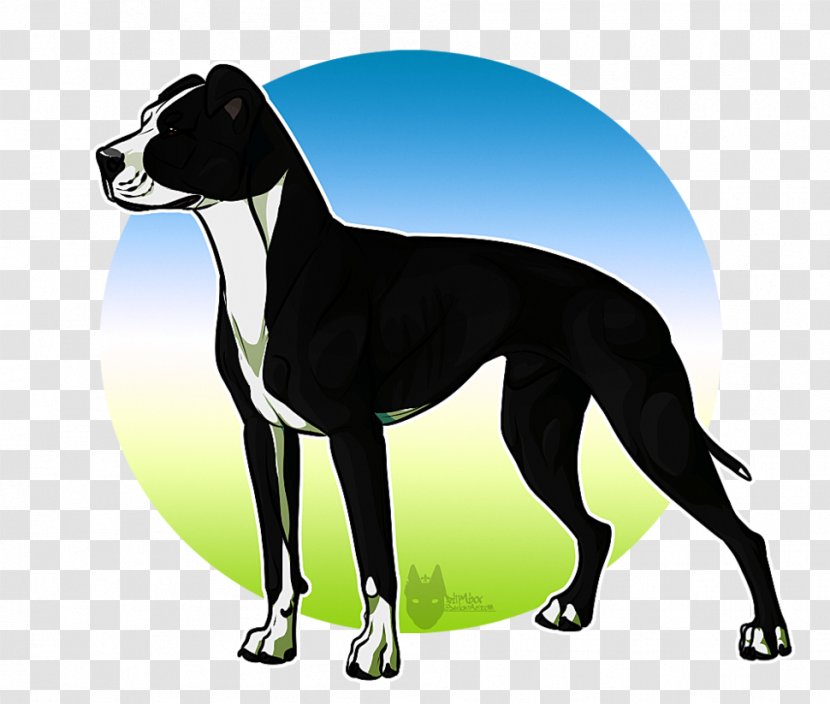Italian Greyhound Spanish Whippet Sloughi - Carnivoran - All By Myself Transparent PNG