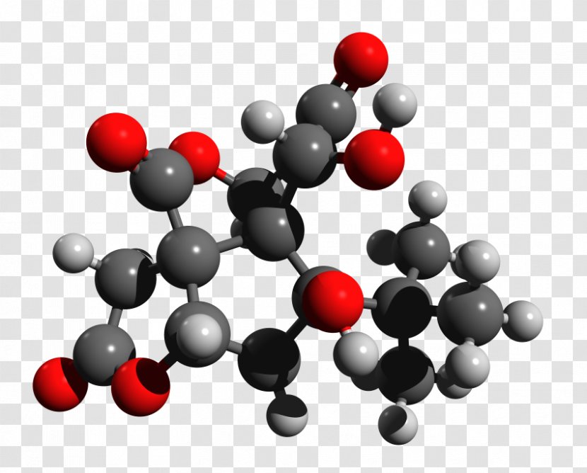 Bilobalide Ginkgolide Terpene Ginkgo Biloba Mevalonic Acid - Geranylgeranyl Pyrophosphate - Structure Transparent PNG