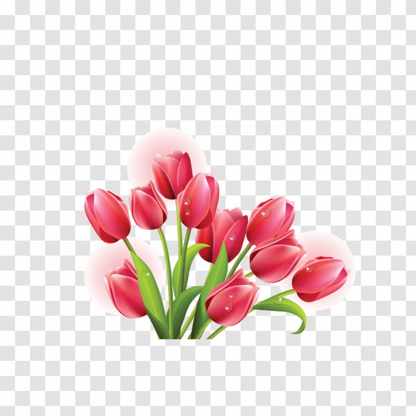 Tulip Mania Flower Clip Art - Plant - Flowers Transparent PNG