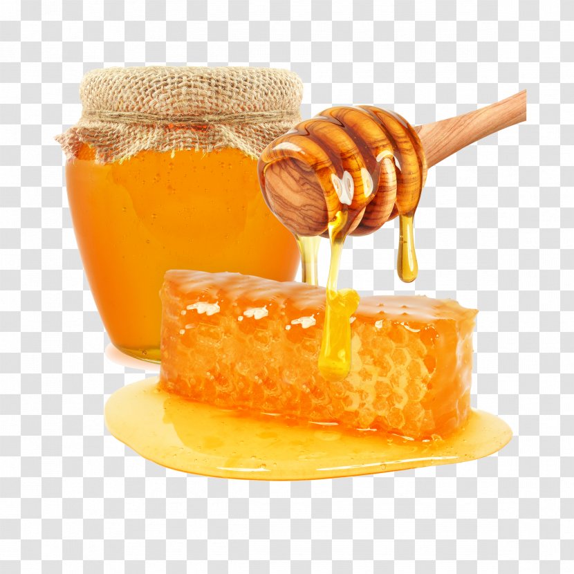 Honey Bee Honeycomb Mu0101nuka Transparent PNG