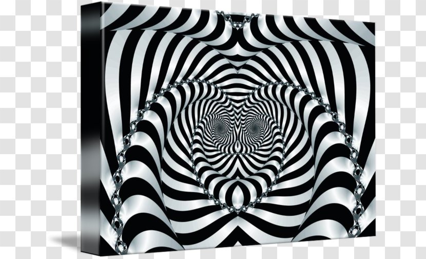 Awesome Optical Illusions An Illusion Image - Monochrome - Eye Transparent PNG