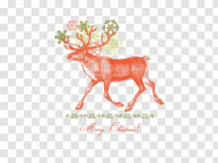 Elk Reindeer Christmas - Vertebrate - Painted Deer Transparent PNG
