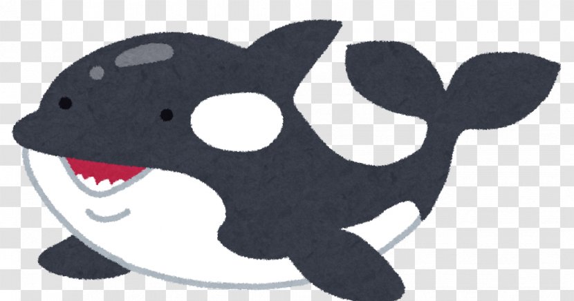 Killer Whale タヌキとキツネ Marine Mammal Earless Seal - Cat Transparent PNG