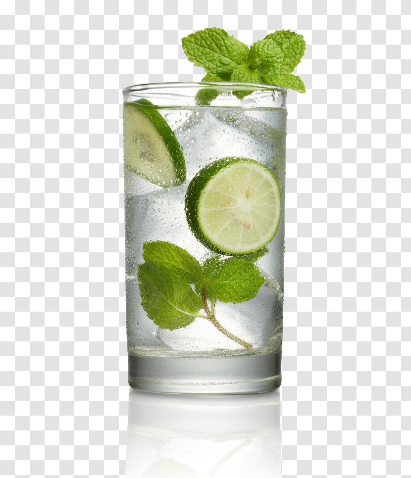 Cocktail Mojito Margarita Mint Julep Spritzer - Rickey - Drink Transparent PNG