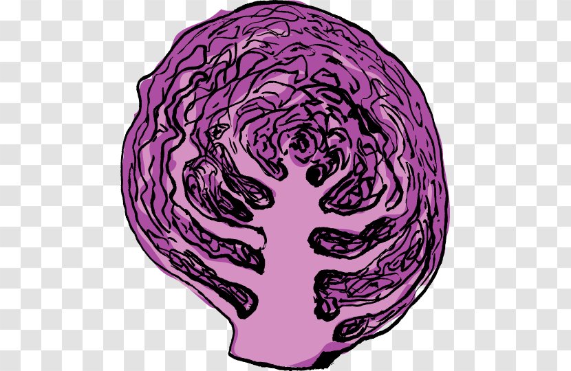 Red Cabbage Clip Art Food Produce - Flower - Purple Kale Transparent PNG