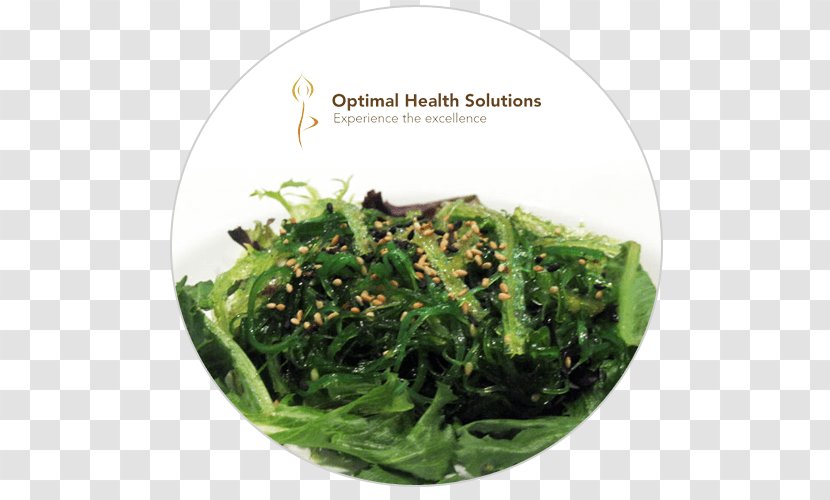 Leaf Vegetable Seaweed Food Herb - Superfood Transparent PNG
