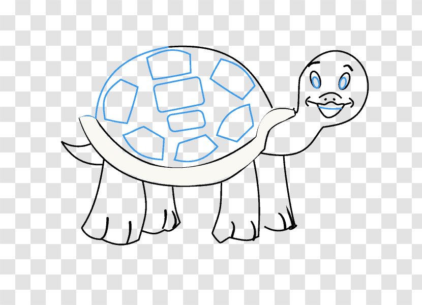 Drawing Cartoon Draw 50 Animals Tortoise - Heart - Turtle Transparent PNG