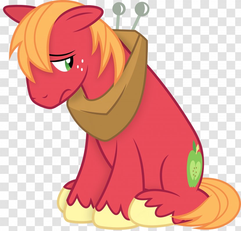 Pony Pinkie Pie Rainbow Dash Fluttershy Horse - Frame - Stallion Vector Transparent PNG