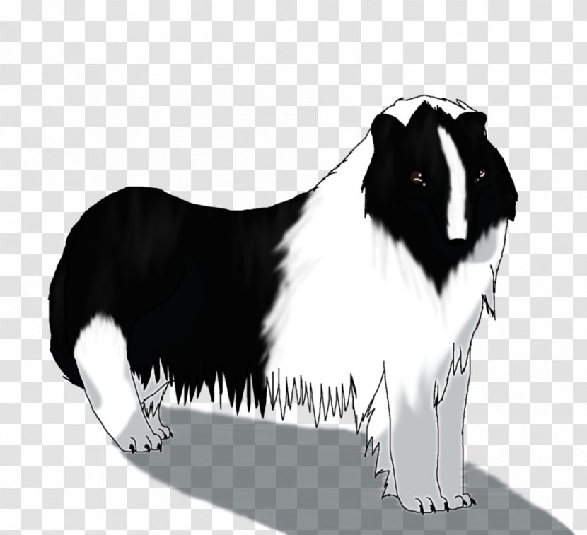 Dog Breed Border Collie Rough Snout - Group - Right Place Wrong Time Transparent PNG