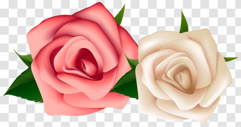 Rose White Pink Flowers Clip Art - Peach - Roses Transparent PNG
