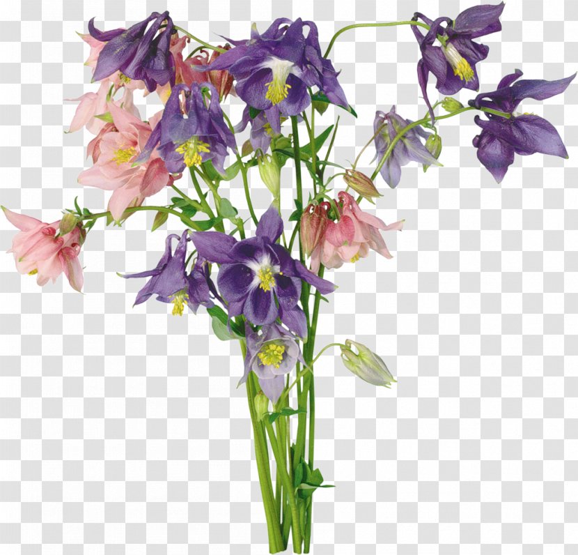 Flower Clip Art - Purple - Bouquet Of Flowers Transparent PNG