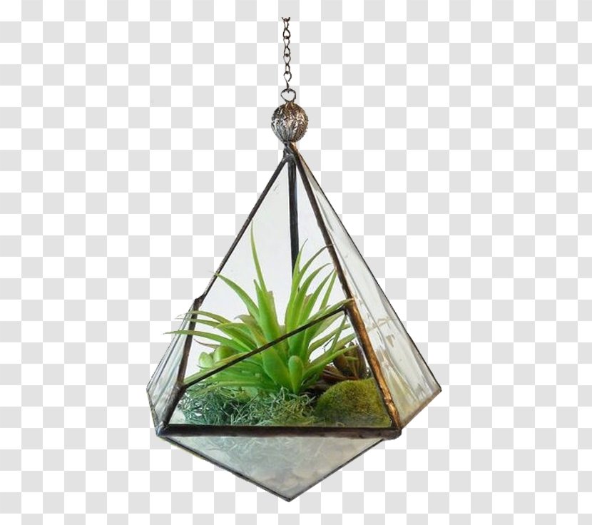 Terrarium Stained Glass Geometry Plant - Walled Potted Aloe Vera Transparent PNG