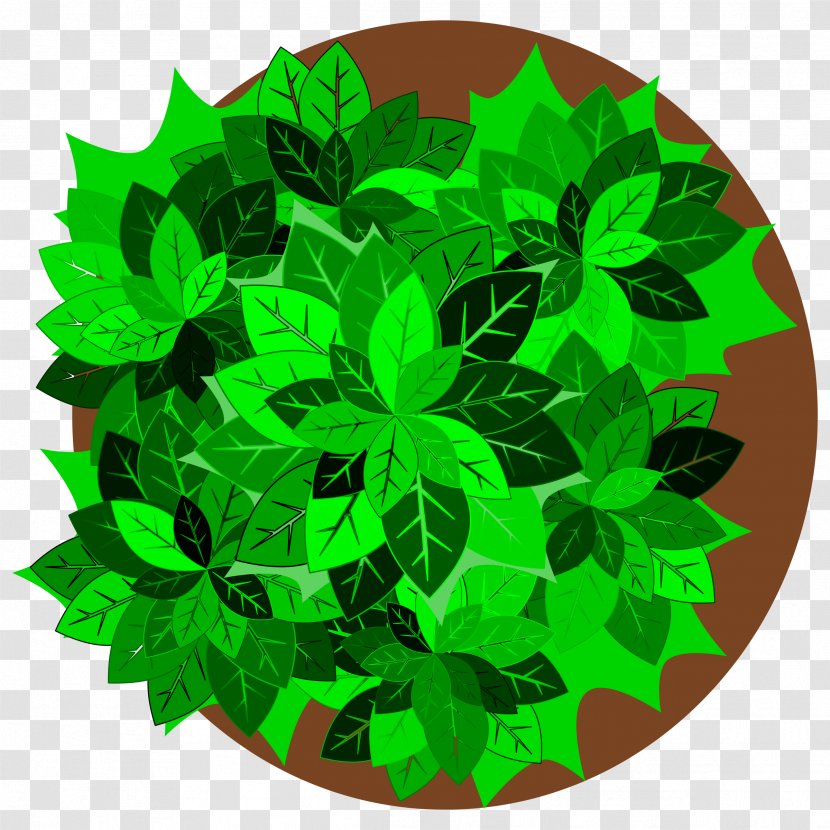 Tree Plant Clip Art - Grass - Top View Transparent PNG