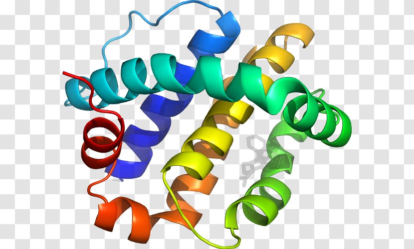 Protein Structure Tertiary Bioinformatics - Primary - Secondary Transparent PNG