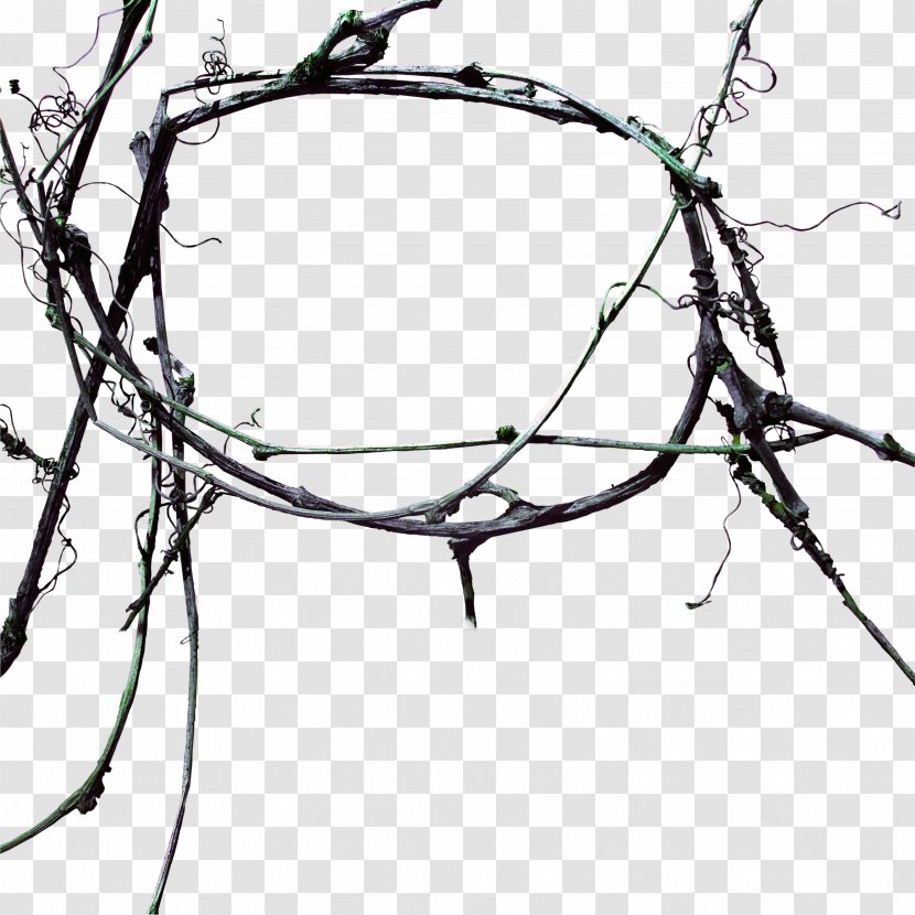 Tree Google Images - Recreation - Deadwood Ring Transparent PNG