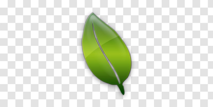 Leaf Cartoon Transparent PNG