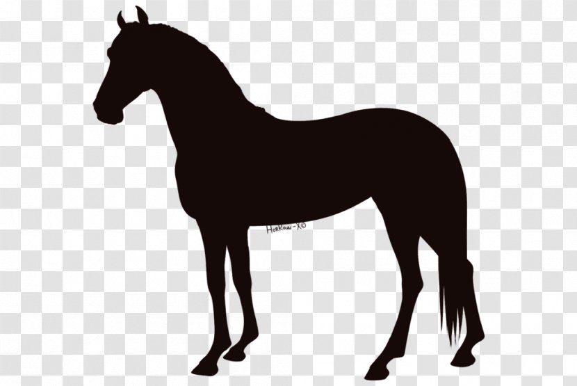 Foal Horse Vector Graphics Royalty-free Illustration - Silhouette - Liver Chestnut Transparent PNG