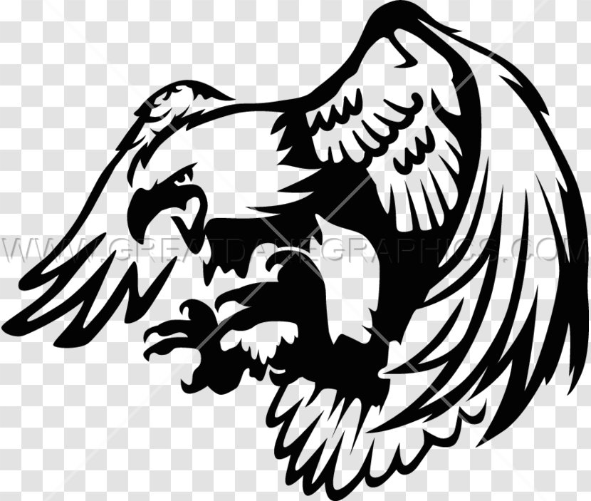 Clip Art - Vertebrate - Eagle Printing Transparent PNG