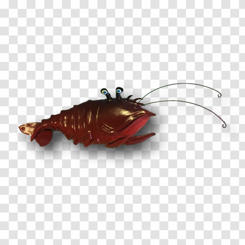 Decapoda Fishing Bait Insect - Seafood Transparent PNG