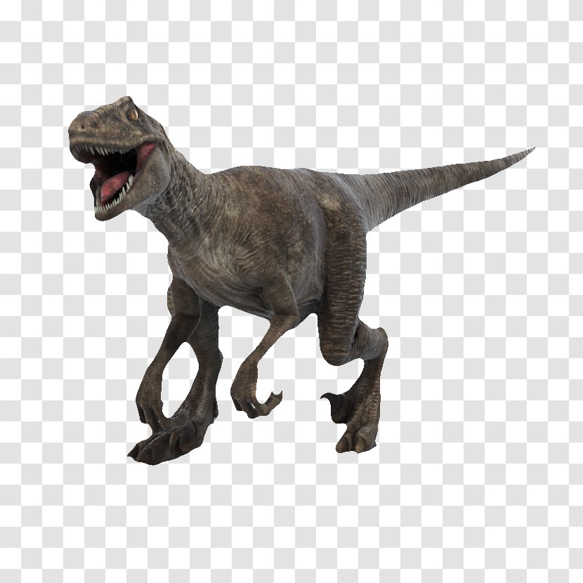 Velociraptor Brachiosaurus Tyrannosaurus 3D Dinosaur VR - Animal - Realistic Dinosaurs Transparent PNG