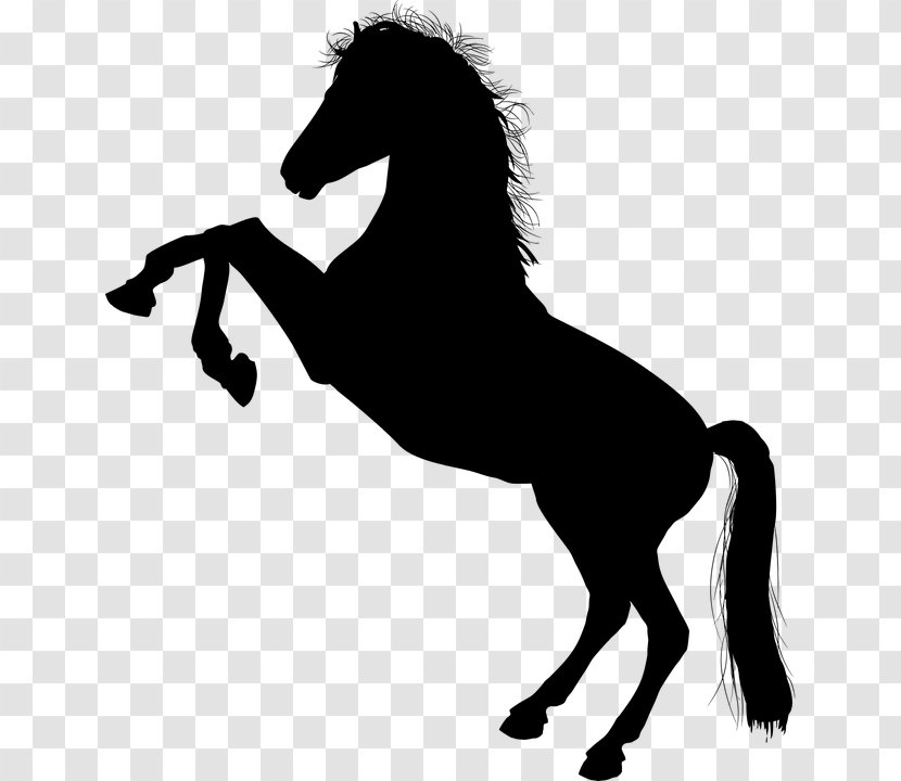 Horse Stallion Rearing Clip Art - Monochrome - Pferdschwarzweiss Transparent PNG