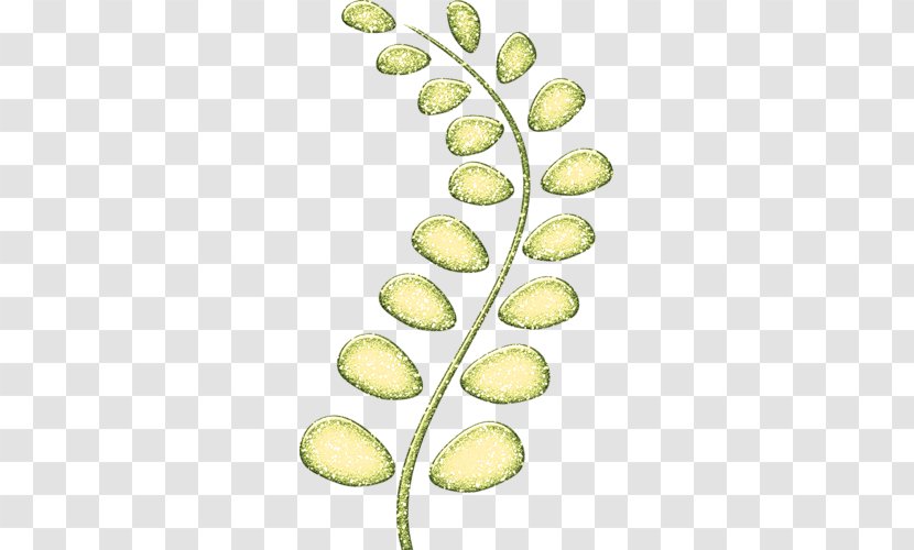Commodity Tree Fruit - Food Transparent PNG