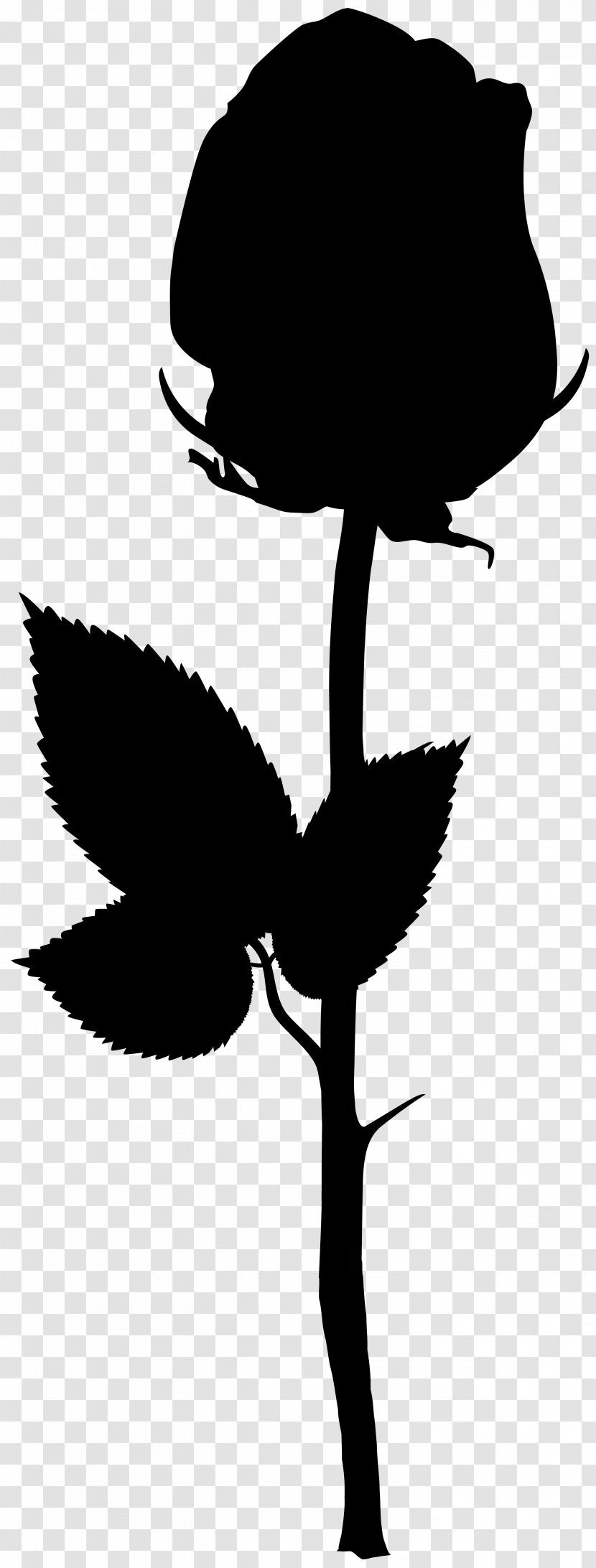 Clip Art Flower Plant Stem Leaf Silhouette - Blackandwhite - Branching Transparent PNG