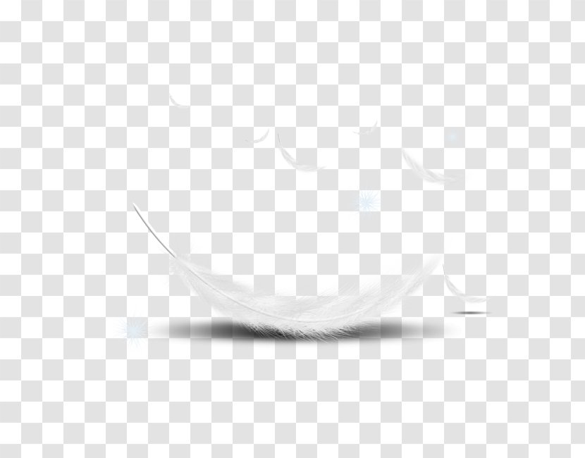 The Floating Feather White - Element Transparent PNG