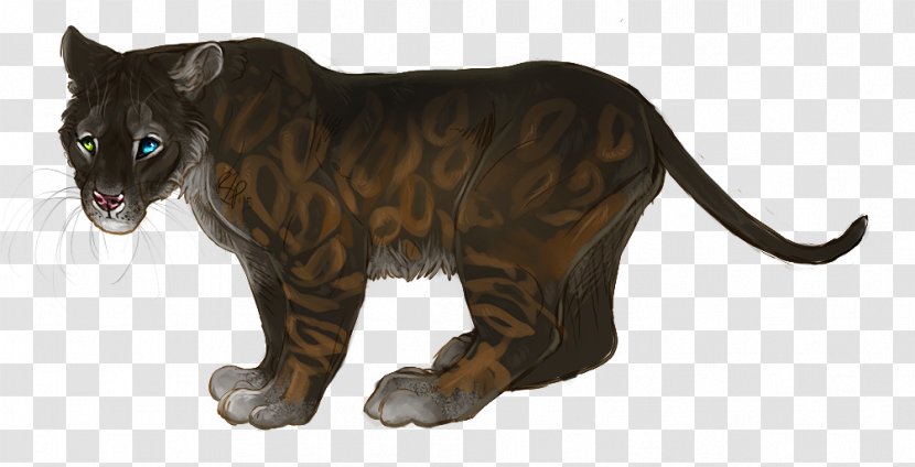 Whiskers Cat Terrestrial Animal Fur Puma - Big Transparent PNG