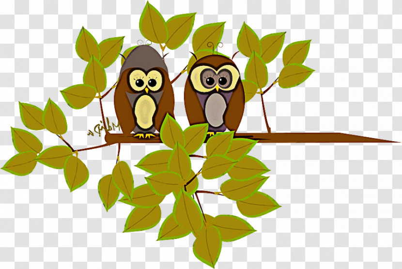 Owl Branch Leaf Bird Cartoon Transparent PNG