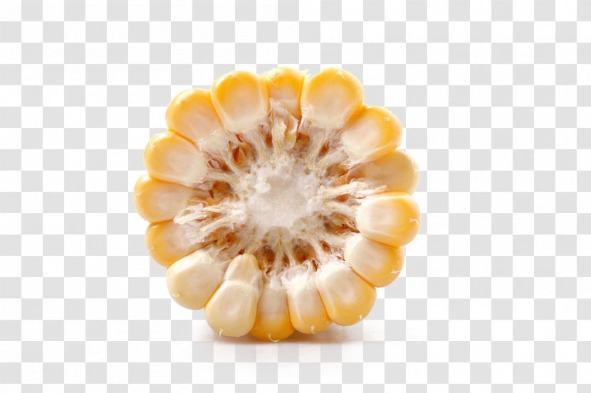 Waxy Corn Popcorn Maize Sweet Transparent PNG