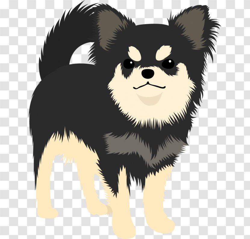 Pomeranian Puppy Chihuahua Dog Breed Companion Transparent PNG