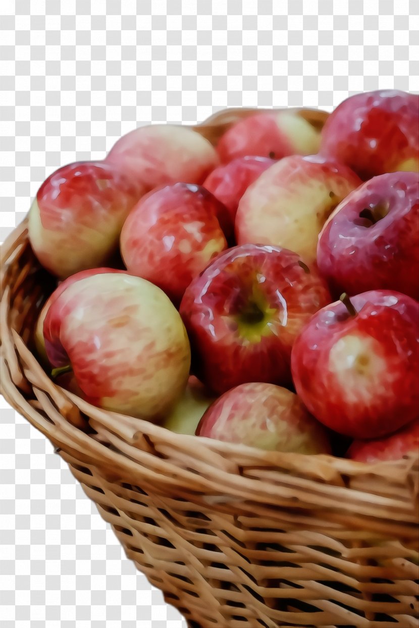 Natural Foods Apple Local Food Fruit - Mcintosh - Whole Plant Transparent PNG