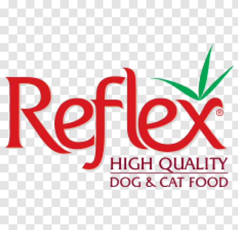 Cat Food Dog Kitten - Area Transparent PNG