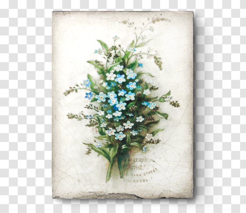 Sid Dickens Inc Tile Wall Scorpion Grasses Design - Wildflower - Forget Me Not Day Transparent PNG