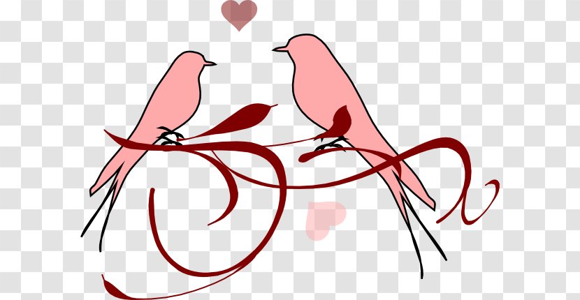 Lovebird Clip Art - Silhouette - Bird Transparent PNG