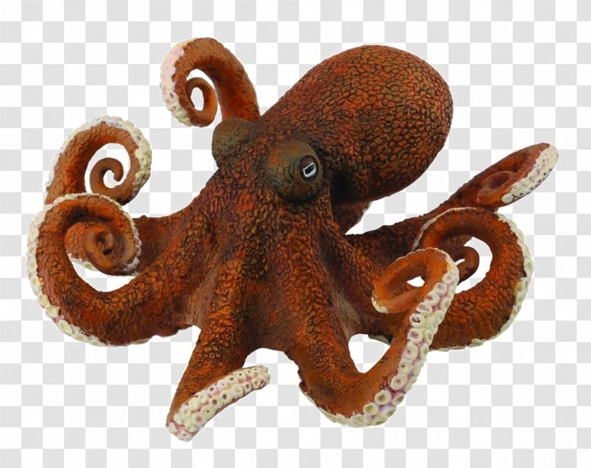 Collecta Octopus Toy Amazon.com Orca -XL- - Animal Figurine Transparent PNG