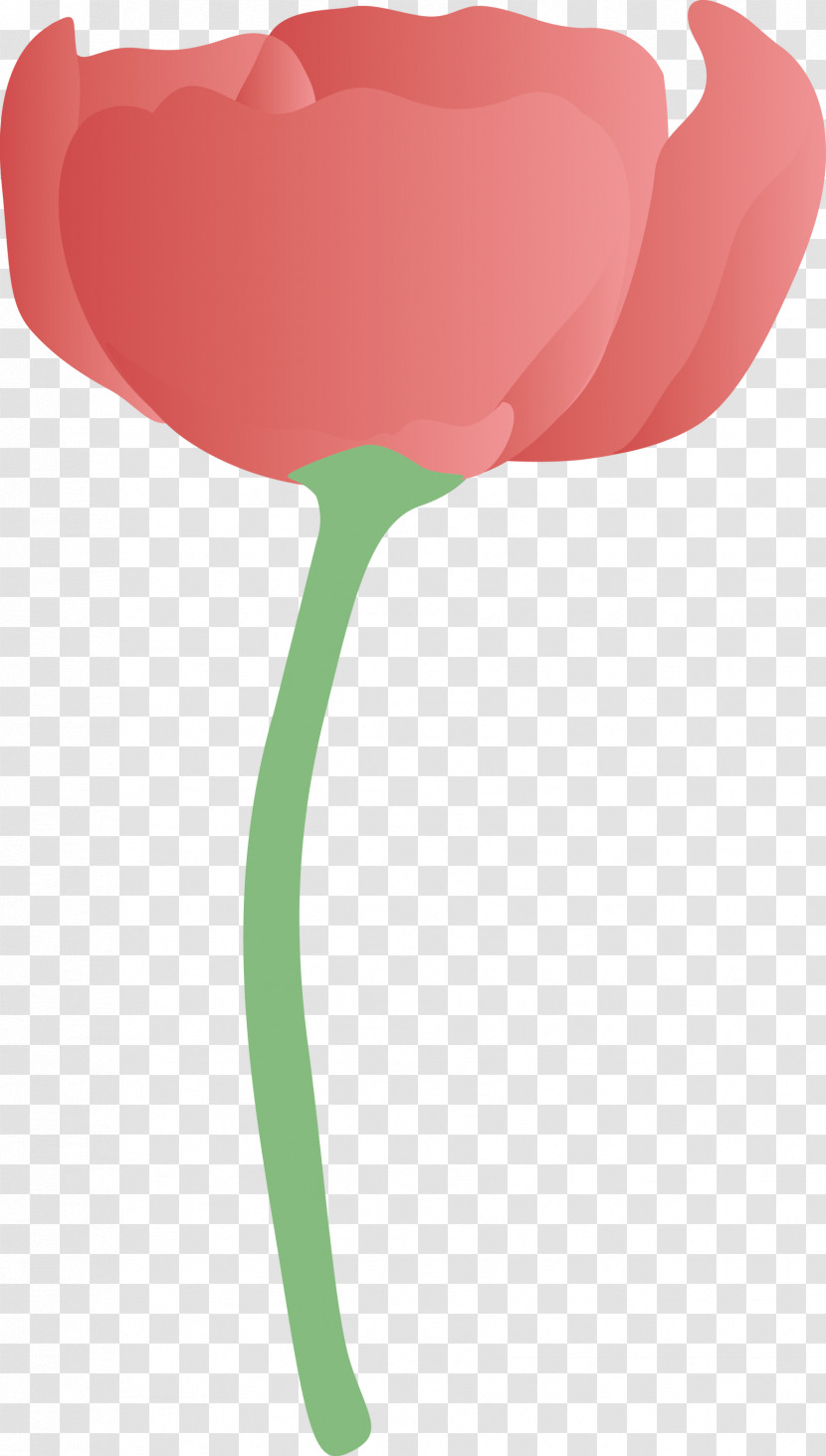 Tulip Pink Balloon Plant Petal Transparent PNG