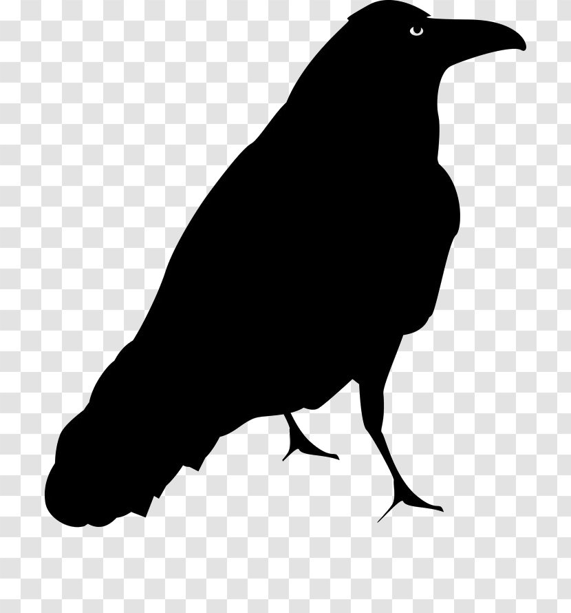 Common Blackbird Drawing Clip Art - Monochrome - Bird Transparent PNG
