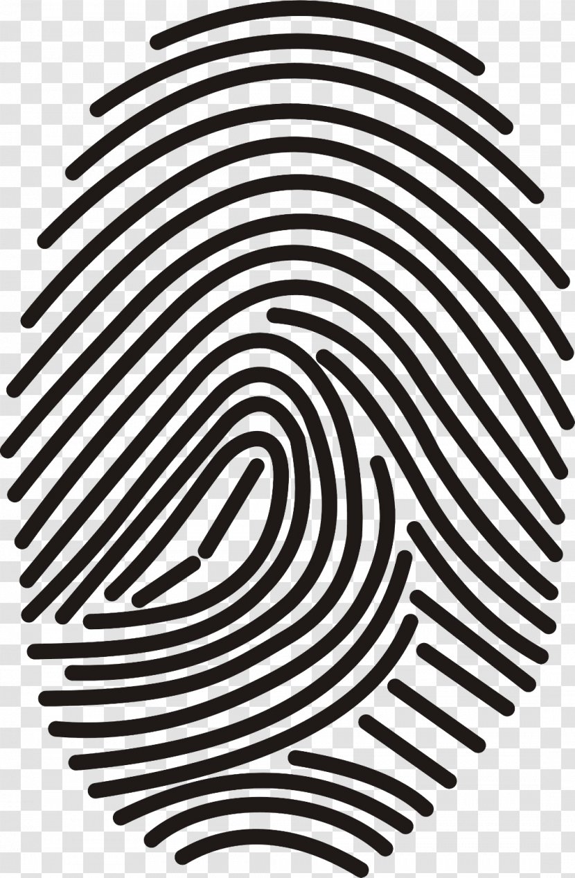 Vector Graphics Fingerprint Image Scanner - Pattern Transparent PNG