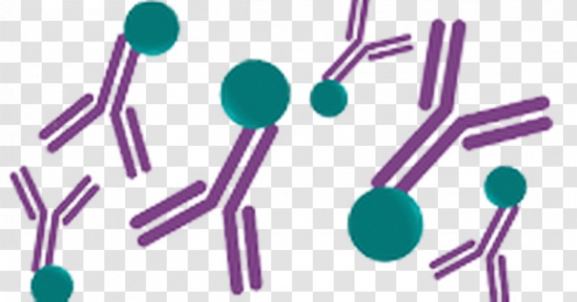 Keyhole Limpet Hemocyanin Immunogen Antibody Production Antigen - Immunity - Illustration Transparent PNG