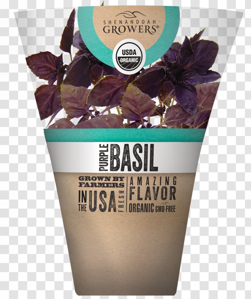 Organic Food Herb Flavor Shenandoah Growers Inc. Basil - Irish Cream - Watercolor Transparent PNG