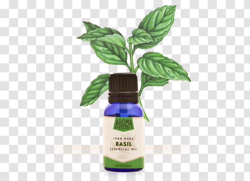 Essential Oil Herb Basil Aroma Compound - Linalool Transparent PNG