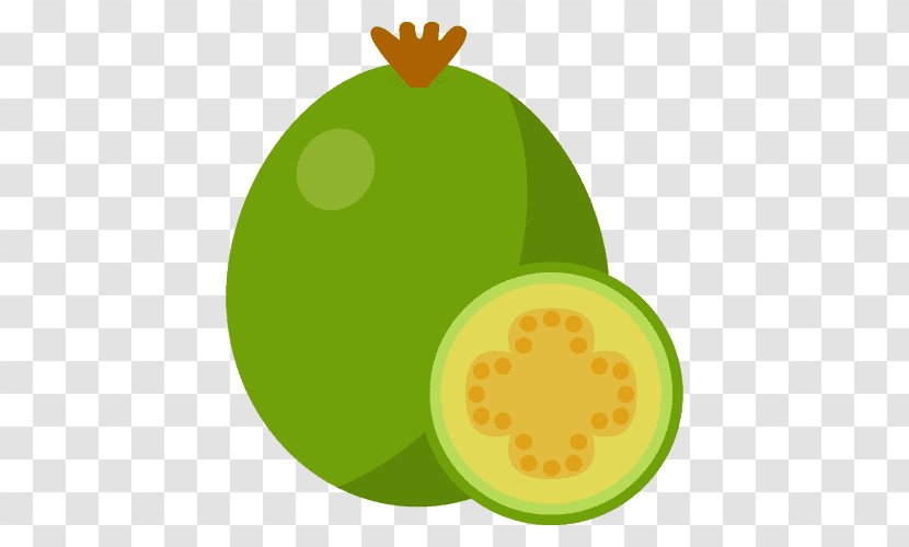 Kiwifruit Green Citrus Vegetable Melon - Apple - Grapefruit Vegetarian Food Transparent PNG