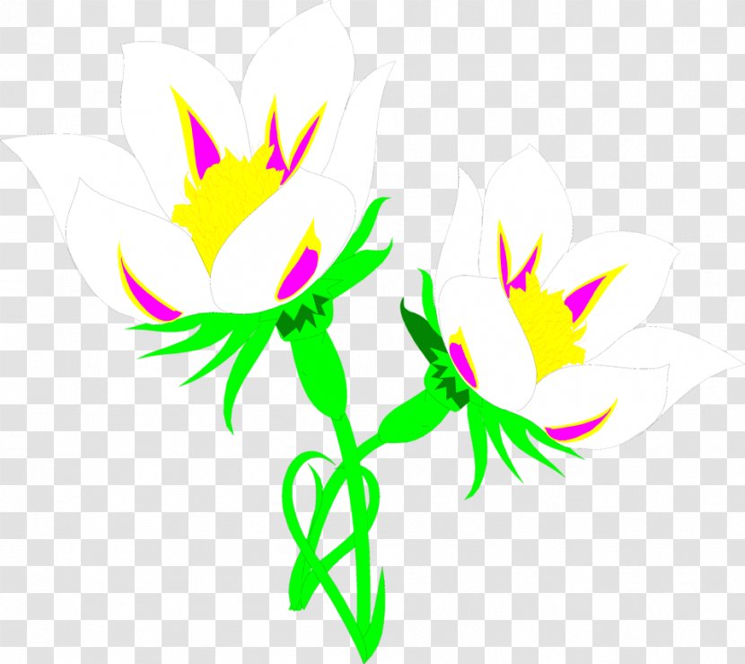 Lilies Lily Fletcher Clip Art - Flower - White Illustration Transparent PNG