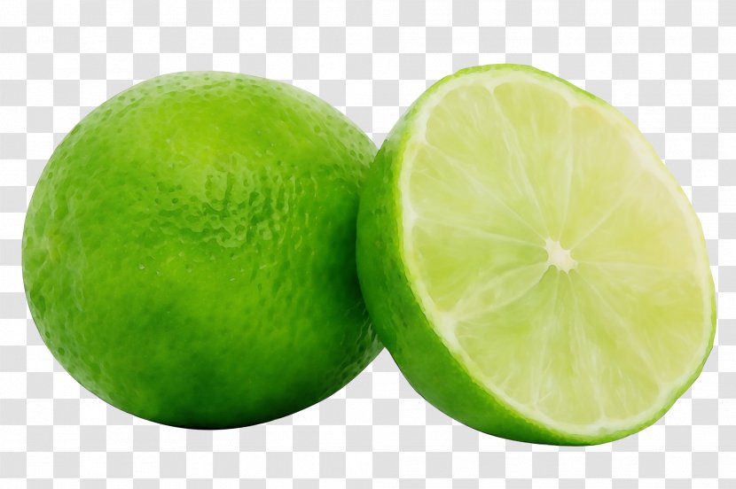 Persian Lime Key Green Sweet Lemon - Food - Plant Transparent PNG