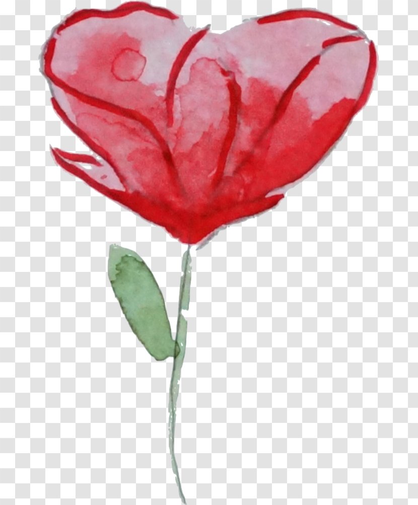 Flower Garden Roses Watercolor Painting Poppy Clip Art - Petal - Aquarell Transparent PNG